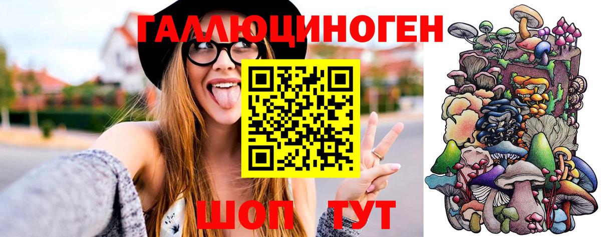 Аргун  Псилоцибиновые грибы Magic Shrooms  закладка  Вход с VPN 