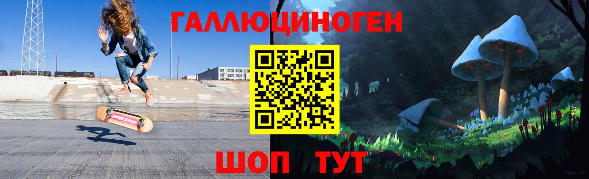 Псилоцибиновые грибы Psilocybine cubensis Аргун